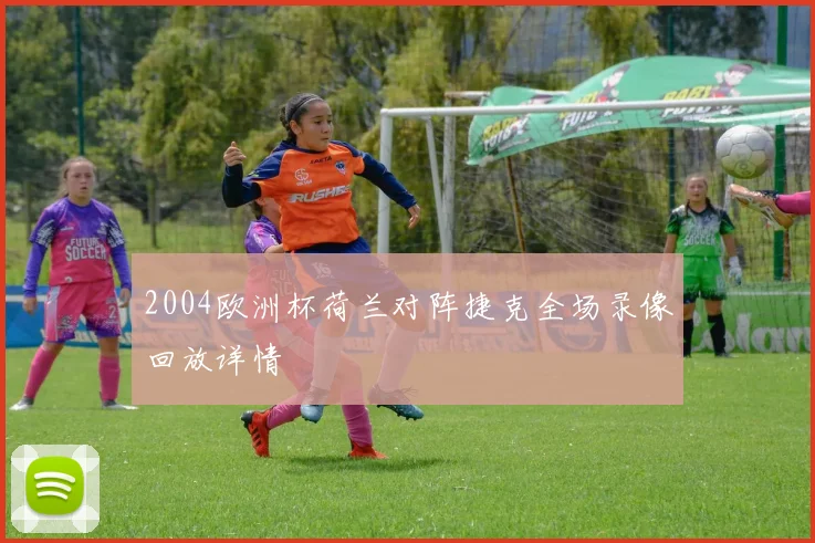 2004欧洲杯荷兰对阵捷克全场录像回放详情