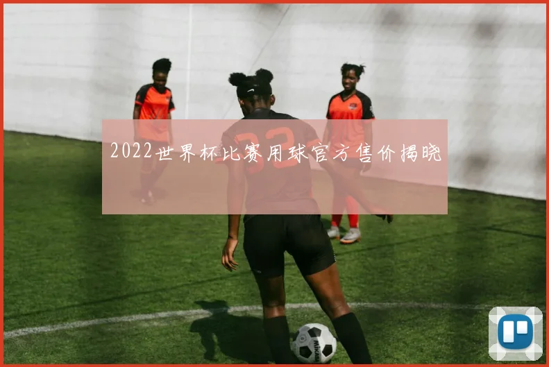 2022世界杯比赛用球官方售价揭晓