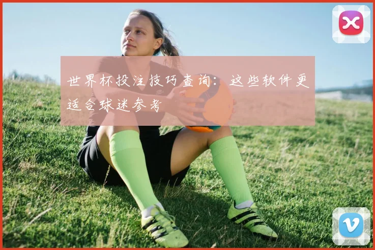 世界杯投注技巧查询：这些软件更适合球迷参考