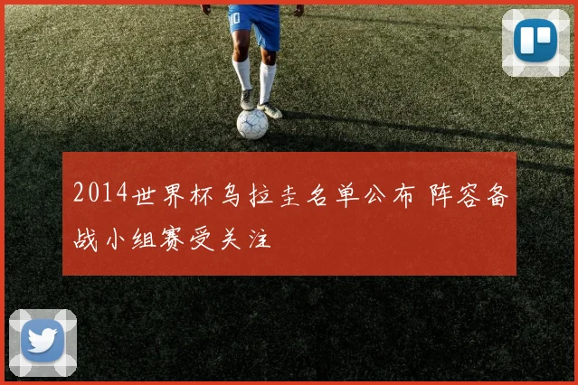 2014世界杯乌拉圭名单公布 阵容备战小组赛受关注