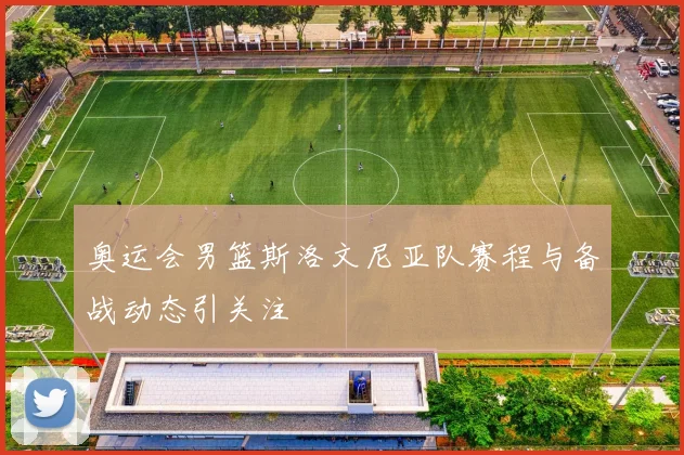 奥运会男篮斯洛文尼亚队赛程与备战动态引关注