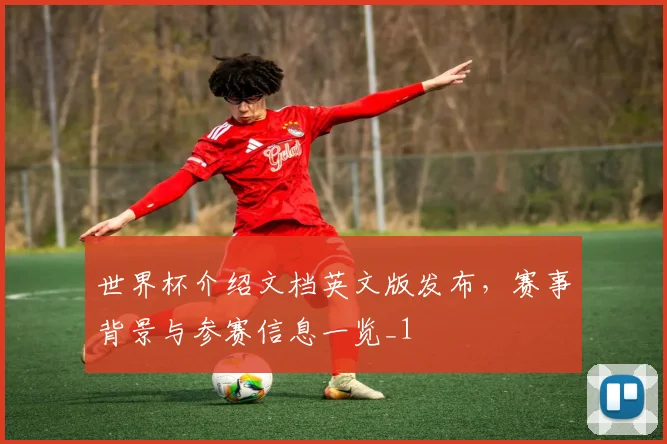 世界杯介绍文档英文版发布，赛事背景与参赛信息一览_1