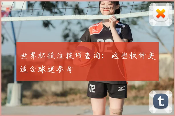 世界杯投注技巧查询：这些软件更适合球迷参考