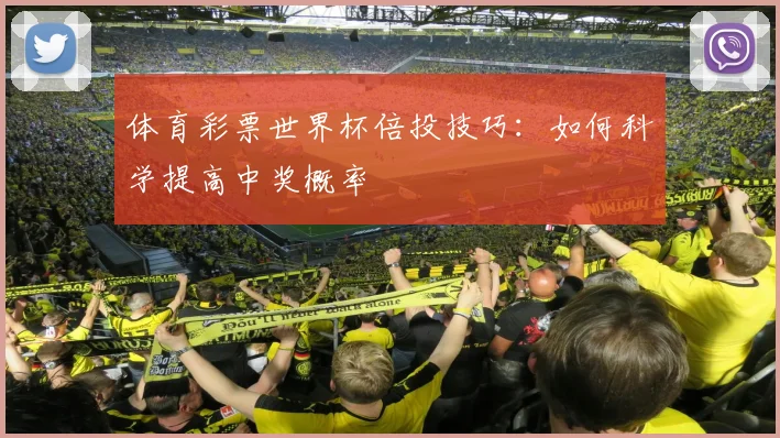 体育彩票世界杯倍投技巧：如何科学提高中奖概率