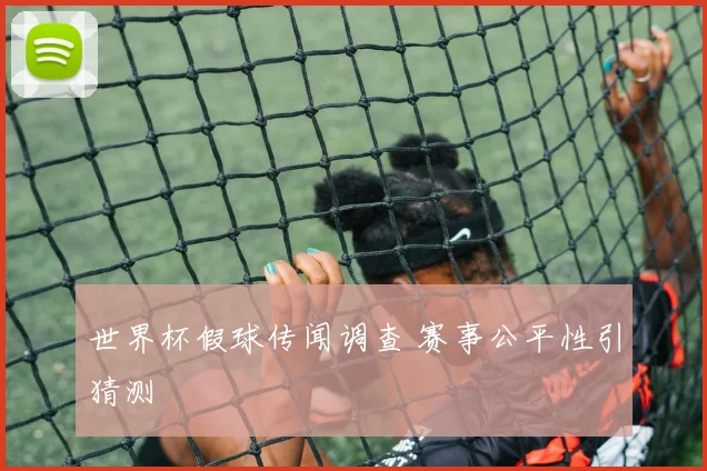 世界杯假球传闻调查 赛事公平性引猜测