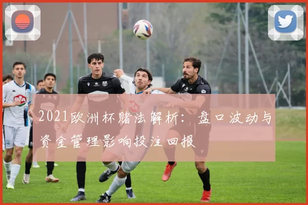 2021欧洲杯赌法解析：盘口波动与资金管理影响投注回报