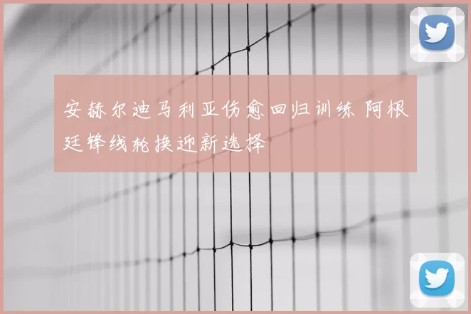 安赫尔迪马利亚伤愈回归训练 阿根廷锋线轮换迎新选择