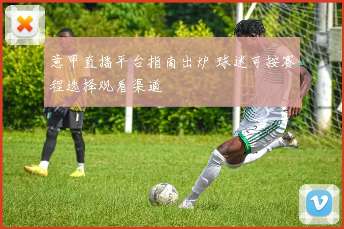 意甲直播平台指南出炉 球迷可按赛程选择观看渠道